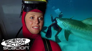 The Bionic Woman Fights A Shark! | The Bionic Woman | Science Fiction Station