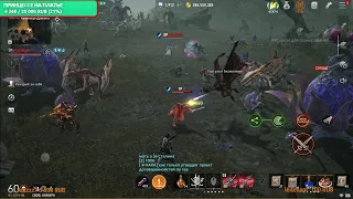 Lineage 2M MT Team Вносят Ясность L2M Stream