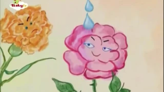 BabyTV Rose and Carnation english