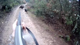 Tek atışta harika AZILI DOMUZ AVI!! Wild Boar hunt!