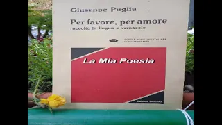 LA MIA POESIA  DI PEPPINO GAGLIARDI