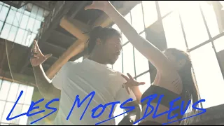 Les mots bleus - Johan Papaconstantino (clip non-officiel)