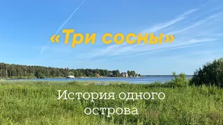 История одного острова. «Три сосны»