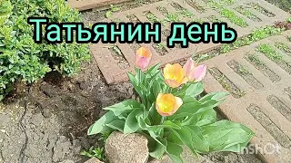 условия Деревенской жизни) цветут тюльпаны) наседка на прогулке) и снова одуванчики