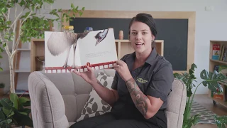 Edward the Emu: Story Time with Lifelong Learning Centres