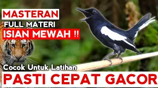 🔴GILA⁉️- MASTERAN KACER GACOR FULL ISIAN NEWAH !! - suara burung kacer yang cocok untuk latihan ‼️