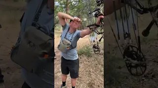 Shooting a Compound Bow 🏹😎 #shorts #bowandarrow #archery #psearchery