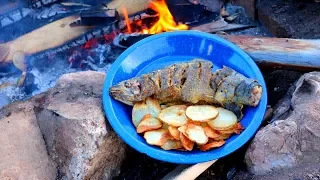 Catching & Cooking Wild Trout Fish n’ Chips Over a Fire!