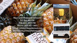 Maui Gold Pineapple - REVIEWS - Maui, Hawaii