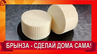 Брынза в домашних условиях. Полный пошаговый рецепт сыра ☆ Как сделать брынзу из коровьего молока