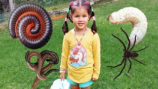 Zoe and Daddy Play Bug Hunt Outdoor With Real Bugs The Movie With Insects Worms Spiders