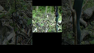 Solo Young Girl In The Forest, BUILT A SHELTER WHAT TO SLEEP