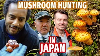 Foraging for Mushrooms with my Mountain Sensei in North Japan