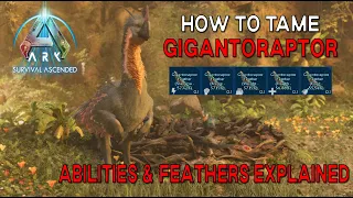 Ark Survival Ascended | How To Tame GIGANTORAPTOR - Loaction / Abilities & Feathers Explained!