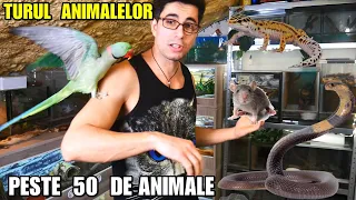 CAMERA CU ȘERPI unde am filmat cu BOGDAN IBM - TURUL COMPLET al animalelor EXOTICE 🐍🐁🕷🦎🐢🦜