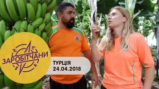Заробітчани - Турция - Выпуск 6 - 24.04.2018