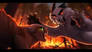 Warrior cats |Unstoppable| Animation Tribute