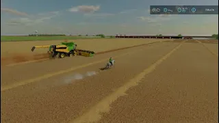 Big Flats, Texas: Episode #1. Wheat Harvest + Buying & Feeding Sheep's, Chicken's & Horses! FS22 PS4