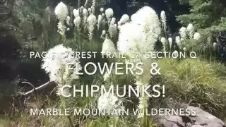 Pacific Crest Trail CA Section Q Marble Mountain Wilderness 2