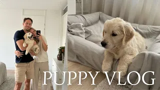 PUPPY VLOG | Onze puppy golden retriever ophalen