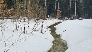 ДТ-231. Опасная весенняя вода или как избежать трагедии