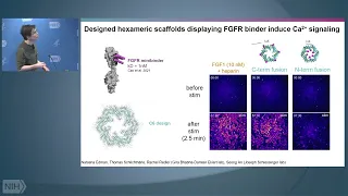 The Coming of Age of De Novo Protein Design