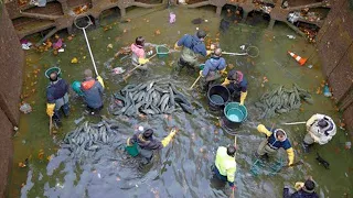 When Authorities Drained This 200 Year Old Canal, What They Found At The Bottom Was Extraordinary