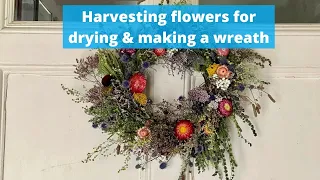 How cut flowers for drying and make a dried flower wreath