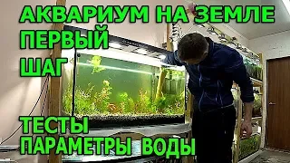 Посадка растений в аквариум на земле