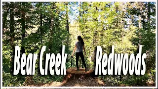 California Hikes | Bear Creek Redwoods Open Space Preserve | San Francisco Bay Area Hiking Trails