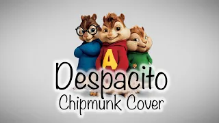 Despacito Luis Fonsi - Chipmunk Cover (Lyrics)