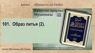 101. Качества Пророка ﷺ.  Образ питья (2).