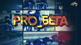 PRO_Бега. 16 мая 2023 года. 13:00