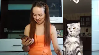 Ну очень смешное видео Обоз Крутых видео с tik tok