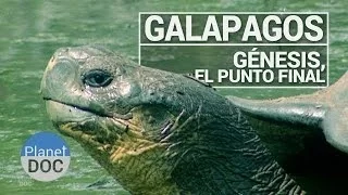 Galápagos. Génesis, Punto Final | Documental Completo - Planet Doc