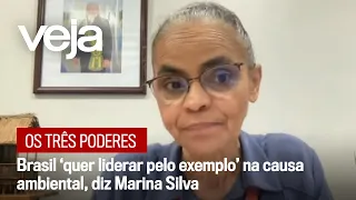 Ministra do Meio Ambiente comenta sobre meta do governo Lula de zerar desmatamento