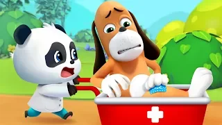 Mr.Dao Got Injured | Kids Cartoon | Funny Cartoon | Kids Cartoon | Baby Videos | BabyBus