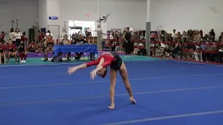 Bradley Marshall Floor Judges Cup 2022 Wildfire Gymnast Level 4