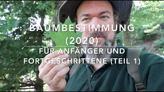 Baumbestimmungskurs 2020 (Teil 1)