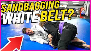 Sandbagging BJJ White Belt Challenges Purple Belt Then...