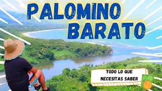 PALOMINO GUAJIRA BARATO‼️COSTOS‼️¿QUE HACER? ¿DONDE DORMIR?¿QUE COMER? El pueblo mochilero de 🇨🇴