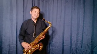 Прекрасное далеко - песня из к/ф Гостья из будущего (саксофон Tiger Sax)