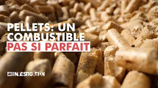 Les pellets, la solution contre la crise énergétique? | #investigation