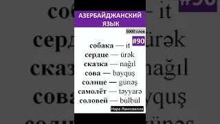 90. Азербайджанский язык/  Новые слова it, ürək, nağıl, bayquş, günəş, təyyarə, bülbül