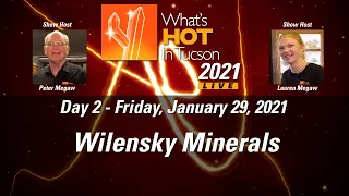 What’s Hot In Tucson: 2021 - Wilensky Fine Minerals