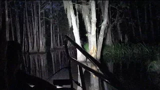 New Orleans NIGHT TIME Swamp Tour Part 2 Wild Boars Cajun Encounters New Orleans