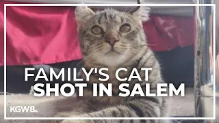 Video captures group shooting and killing Salem family's cat outside home