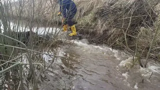 Expedition #10 | Beaver dam removal.  Removed (almost) by bare hands. Quick drain.