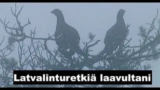 Latvalinturetkiä laavultani