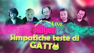 OLDGEN LIVE - Simpatiche teste di Gatto